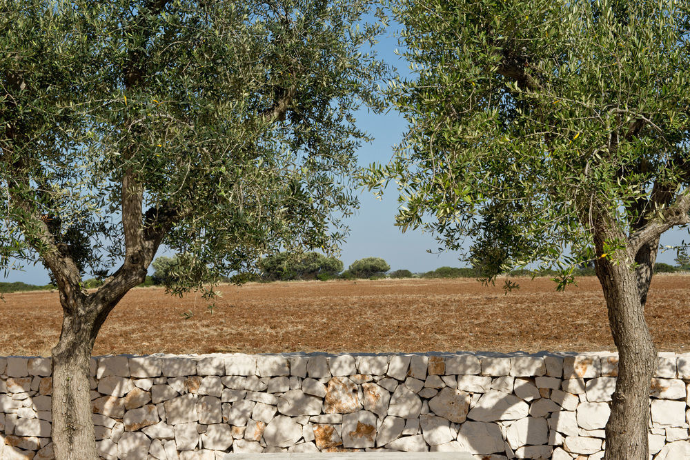 Grand Hotel Masseria Santa Lucia Ostuni Luaran gambar